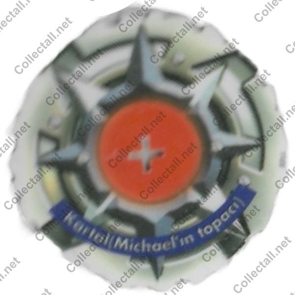 Beyblade Topaçları (23)