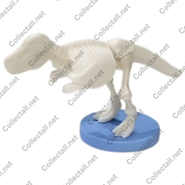 Tyrannosaurus Skeleton Puzzle