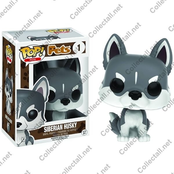 Siberian Husky #01