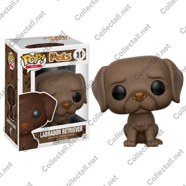 Labrador Retriever #11