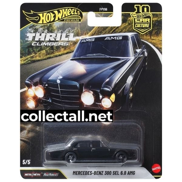 Mercedes-Benz 300 SEL 6.8 AMG (5/5)