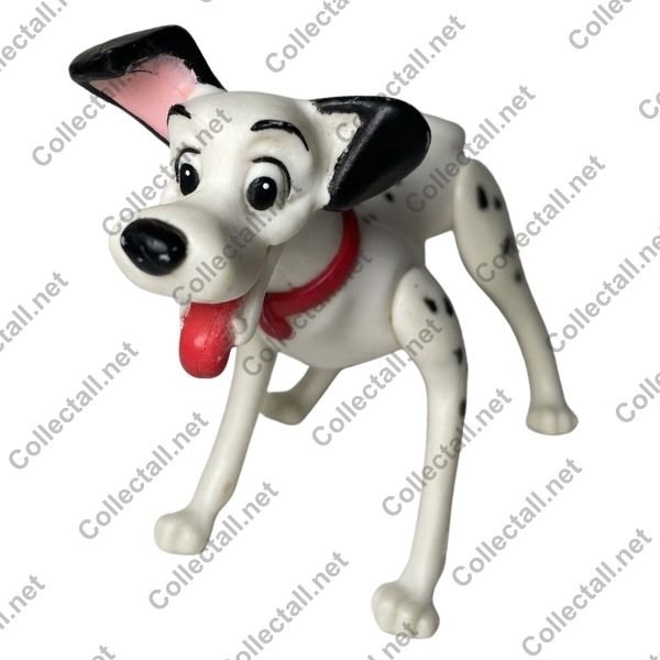 Pongo
