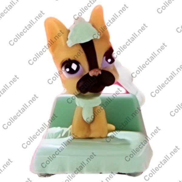 French Bulldog
