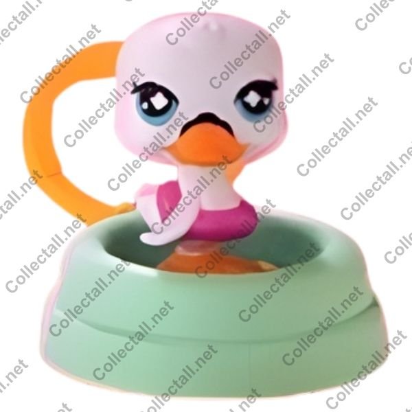 Swan