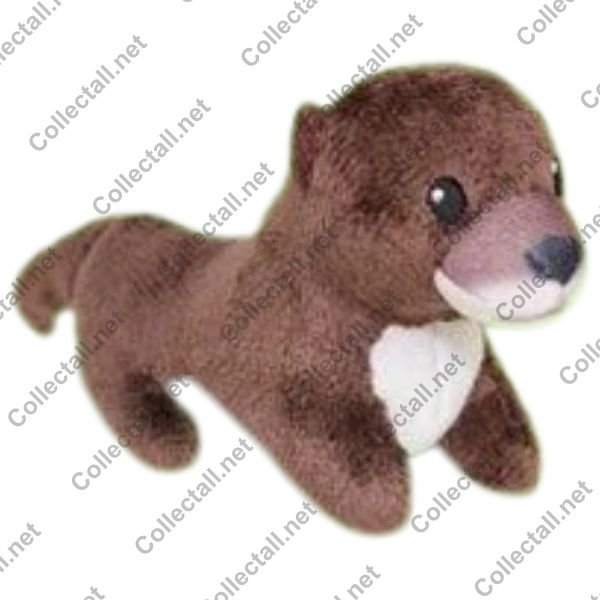 Eurasian Otter
