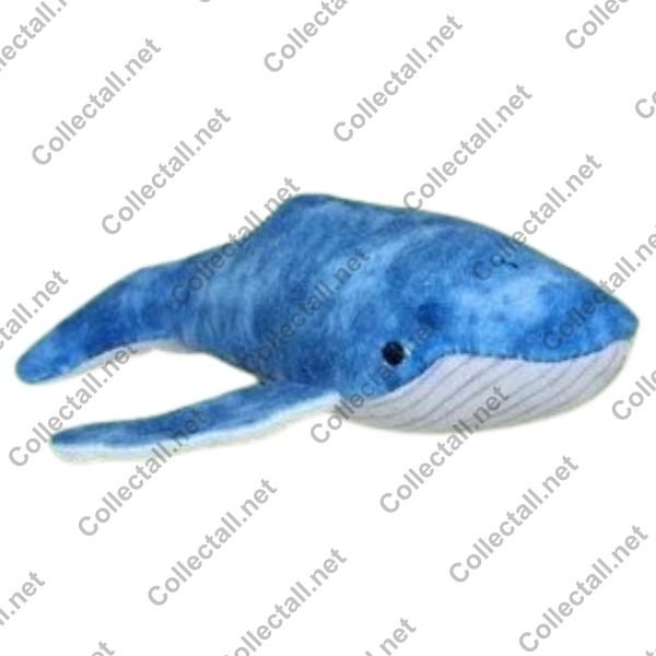 Humpback Whale
