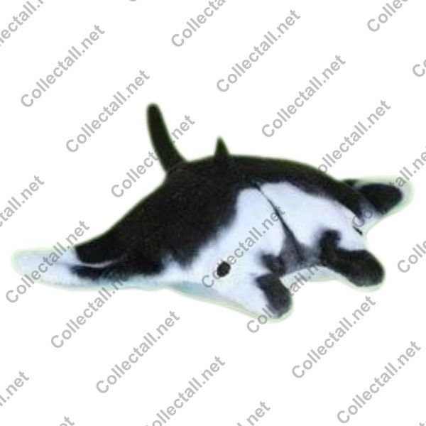 Manta Ray