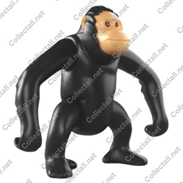 Chimpanzee