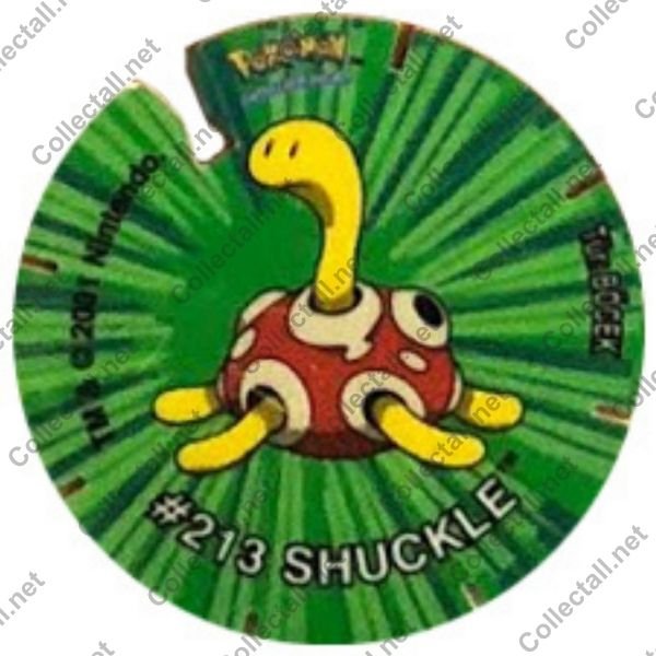#213 Shuckle (41)