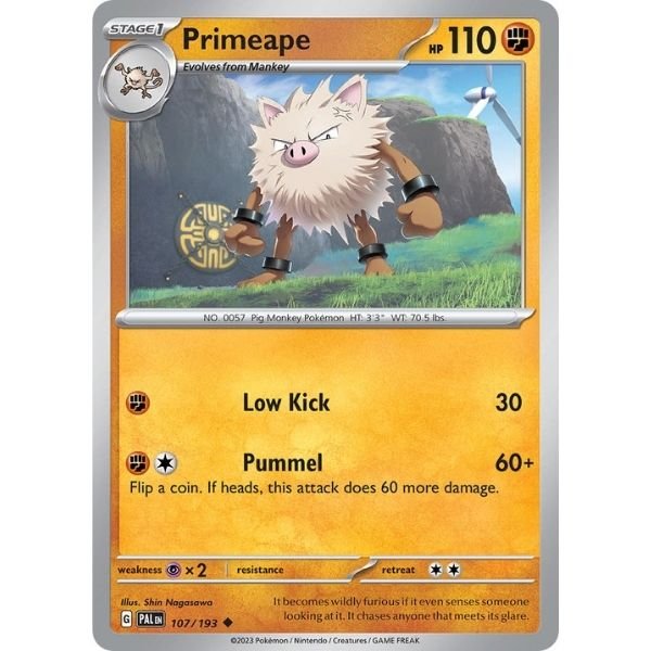Primeape (107/193)