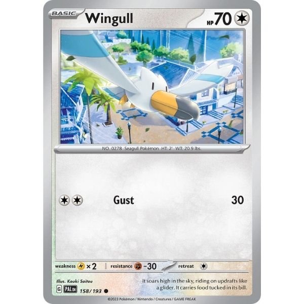 Wingull (158/193)