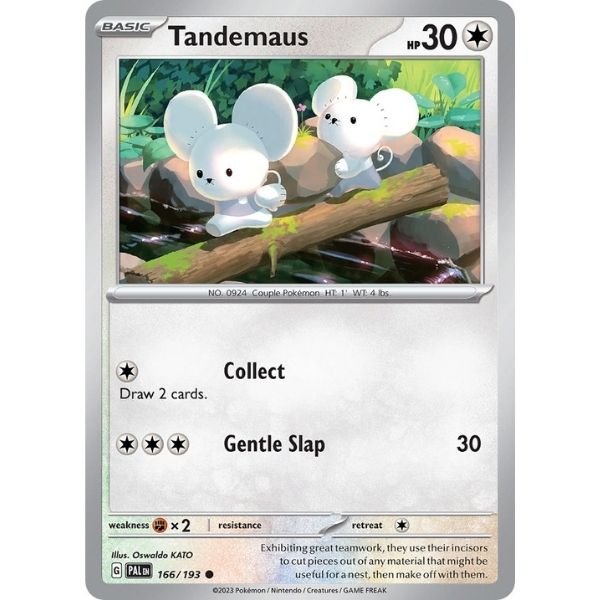 Tandemaus (166/193)