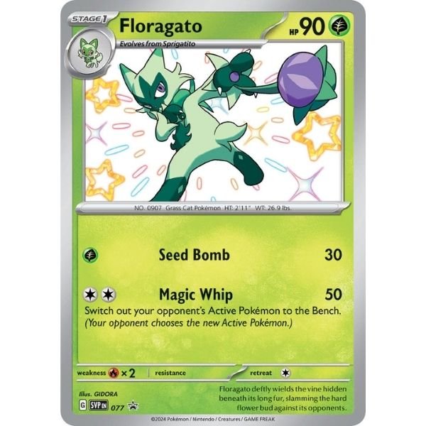 Floragato (077)