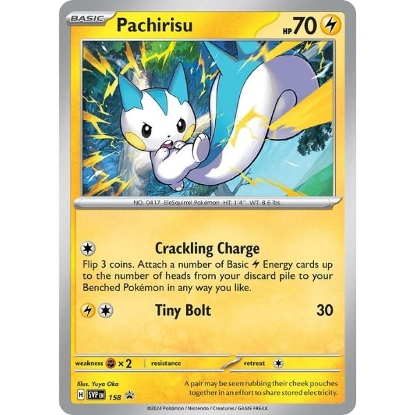 Pachirisu (158)